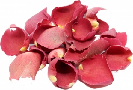 Big Red Rose Petals